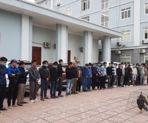 Bắt quả tang 33 đối tượng tham gia 'đá gà' ở Nghệ An