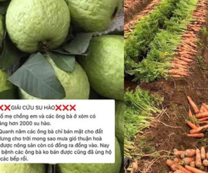 Ấm lòng cảnh dân tình rần rần giải cứu nông sản giúp bà con Hải Dương: nhìn giá bán mà ai cũng thương người nông dân