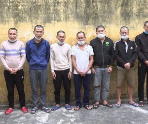 Tám người vướng vòng lao lý vì một con lợn giống