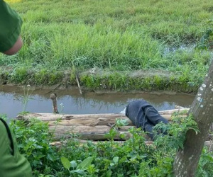 Say rượu, người đàn ông ở Quảng Nam rơi xuống mương tử vong