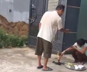 Sinh nở, ăn Tết ở nhà ngoại, cô gái uất ức vì bị bố mẹ đẻ đối xử như người dưng bèn bỏ nhà ra đi