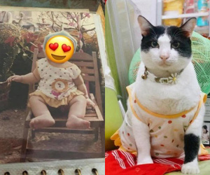 Mẹ bảo giữ lại đồ hồi bé cho cháu mặc lấy vía, cô gái 'tím mặt' khi biết danh tính đứa con bất đắc dĩ