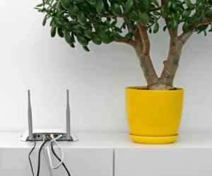 Đừng đặt router Wi-Fi ở 3 vị trí này trong nhà, nếu không tốc độ 100 Mbps cũng hóa 'rùa bò'