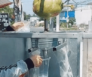 Phát hiện cách lấy dừa kiểu mới nhưng dân tình lo ngại 'bán xong chắc... lên cơ'