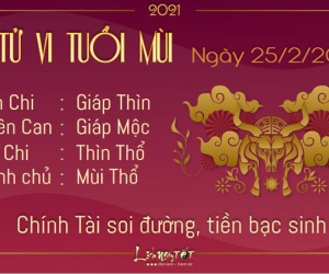 Tử vi thứ 5 ngày 25/02/2021 của 12 con giáp: Ngọ tất bật, Tý gặp quý nhân