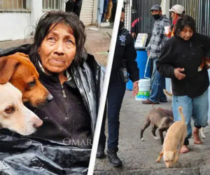 Bà lão kiên quyết sống cùng 6 con chó trong túi rác vì lí do đặc biệt và cái kết ngọt ngào khiến ai nghe cũng cảm động