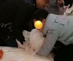 Cô dâu hoảng loạn vì bị khách nam thực hiện hành vi nhạy cảm, chú rể chứng kiến toàn bộ nhưng lại có phản ứng kỳ lạ gây phẫn nộ