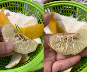 Mang trái bưởi để dành trong gầm giường ra bổ, người đàn ông ngỡ ngàng vì phát hiện thứ đặc biệt bên trong