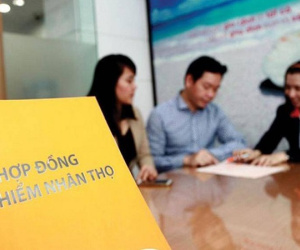 Người mới đi làm nên mua bảo hiểm nhân thọ hay phi nhân thọ?