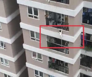 Thông tin mới nhất về tình hình sức khỏe bé gái được cứu sống thần kỳ sau khi rơi từng tầng cao chung cư ở Hà Nội, mẹ bé hiện rất hoảng loạn