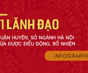 Chân dung tân Giám đốc Sở ngành, Bí thư quận huyện Hà Nội