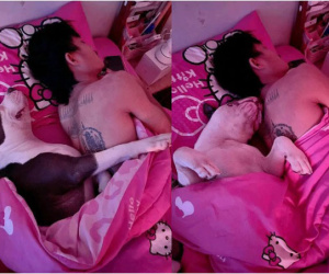 Than thở bị 'trà xanh' cướp chồng còn cướp luôn chỗ ngủ, chứng kiến 'người thật việc thật' ai cũng phải bật cười