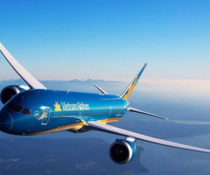 Tạo tài khoản Bông Sen Vàng ảo, gây thiệt hại cho Vietnam Airlines hơn 16 tỉ đồng