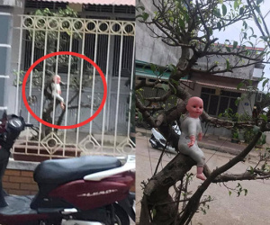 Rợn người với hình ảnh đứa bé đang ngồi vắt vẻ trên cây, lại gần thì phát hiện sự thực ngã ngửa