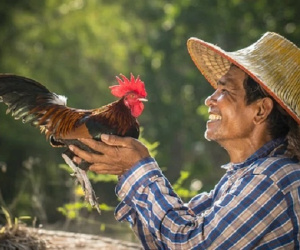 Sự tích tên gọi 'gà Mạnh Hoạch': Từ ông chủ quán trà đá đến chuỗi nhà hàng thương hiệu quốc dân hơn 20 năm tuổi tại Hải Dương
