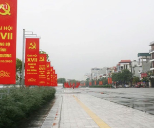 Ảnh minh họa