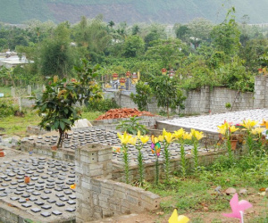 Đà Nẵng: Đình chỉ một nghĩa trang thai nhi hoạt động thiện nguyện