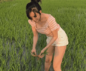 Bà Tưng bị 'ném đá' khi ra đồng với quần áo hớ hênh, dân mạng tố 'làm màu'