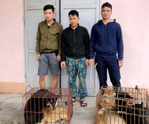 Trộm chó trong 15 giây bán lấy tiền mua ma tuý