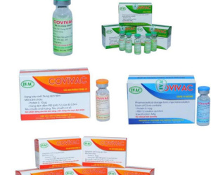 Vaccine Covivac phòng COVID-19 bắt đầu quá trình thử nghiệm trên người