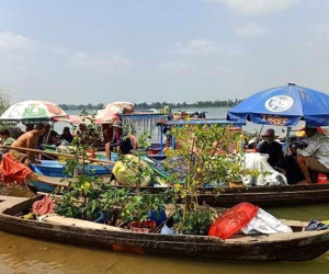 Ngăn chặn kịp thời 35 người nhập cảnh trái phép vào Việt Nam