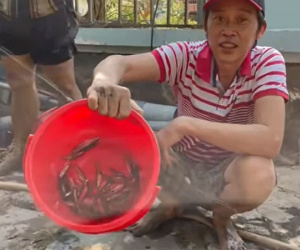 Hoài Linh: 'Tôi kiếm được bữa cơm khổ quá, không dễ dàng, đơn giản chút nào'