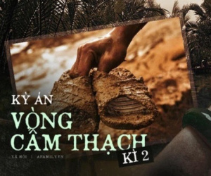 Ảnh minh họa