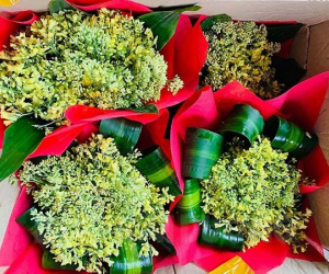 Ruộng su lơ nở hoa vàng rực tưởng phải vứt bỏ, nhưng sự sáng tạo bất ngờ giúp anh nông dân Hải Dương thu tiền triệu