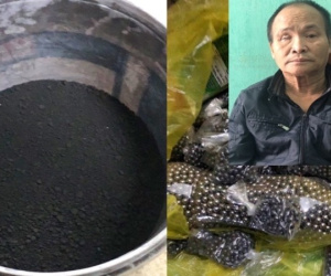 Thanh Hóa: Tàng trữ 17kg thuốc nổ và đạn súng tự chế