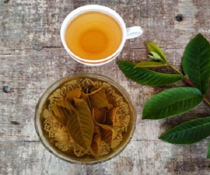 Uống nước lá ổi, lá sen, nước mía ớt chuông... trong 7 ngày giảm luôn 3kg: Chuyên gia nói hãy quên ngay suy nghĩ này đi!