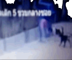 Video: Bé gái 5 tuổi bị đàn chó 'điên' lao vào cắn ngay trên phố