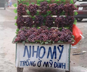 Hàng nho siêu to trên phố gây xoắn não người đi đường với biển hiệu giới thiệu xuất xứ 'đọc xong cười quên mua luôn'