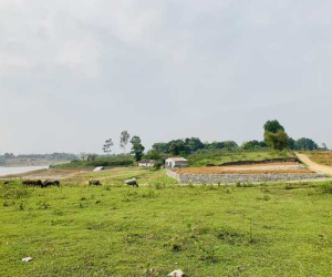 Ngỡ ngàng đất Ba Vì, Chương Mỹ, Hòa Bình nhiều khu vực tăng đến 3 lần chỉ trong 1 năm