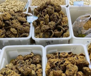 Tử hà sa - nhau thai người sấy khô: 'Dược liệu' mang lại lợi nhuận siêu khổng lồ, biết rõ nguy cơ tiềm ẩn cho người dùng nhưng con buôn Trung Quốc vẫn kinh doanh