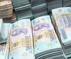 Vỡ nợ hơn 200 tỷ, nhiều hộ nông dân điêu đứng