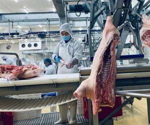 Chuyển động ngầm thị trường 10 tỷ USD, đại gia Việt những toan tính lớn