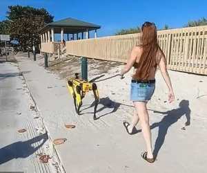 Độc đáo chó robot giá 1,7 tỷ đồng