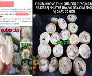 Xôn xao cửa hàng thực phẩm ở Hà Nội bán 6kg trái cây 'đểu', khách muốn đổi trả thì lại bảo: Vú sữa là hàng nhạy cảm, phải ăn ngay!