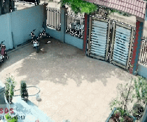 Clip: Trộm liều lĩnh phá cổng sắt giữa ban ngày, vợ cầm rựa trong nhà lao ra bảo vệ chồng khi bị tấn công