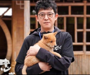 Phim về chú chó huyền thoại Hachiko sắp có bản Trung, dân tình chưa gì đã cà khịa Cậu Vàng đất Việt?
