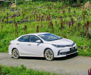 Toyota Việt Nam triệu hồi Altis vì lỗi bơm xăng