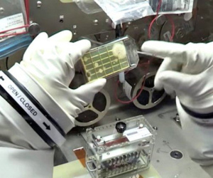 Các nhà khoa học phát hiện 3 chủng vi khuẩn chưa từng thấy trên Trạm Vũ trụ Quốc tế ISS