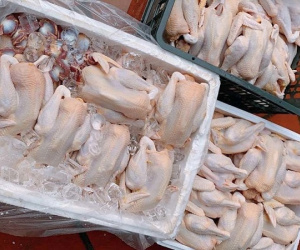 Mất giá thê thảm, gà ri siêu rẻ lại đổ bộ thị trường
