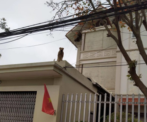 Bị 'người cũ' phũ phàng, nhưng cô gái lại nhận sự an ủi từ người bạn 4 chân khiến ai cũng phải... phì cười