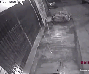 Video: Nam thanh niên chở bạn lao thẳng cửa xếp và phản ứng bất ngờ sau đó