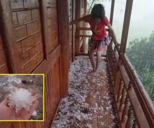 Video: Mưa đá lớn tại Điện Biên gây thiệt hại về nhà cửa, hoa màu