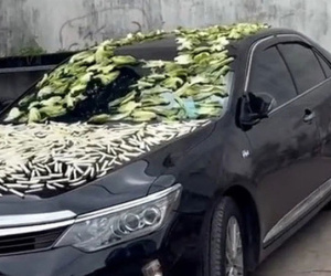 Mang xế hộp đi làm chỗ phơi dưa chua, người hàng xóm khiến ai cũng phải trầm trồ