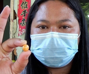 Mua ốc biển về ăn, người phụ nữ nghèo khổ phát hiện 'hòn sạn' trị giá cả gia tài
