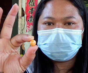 Người phụ nữ ‘không xu dính túi’ tìm thấy ngọc trai vàng cực quý hiếm