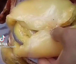 Mổ con gà to nhưng nhìn lớp mỡ tràn ra khỏi bụng mà ngao ngán, giờ ăn không được bỏ cũng chẳng xong